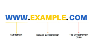 domain name