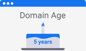 age of web domain 