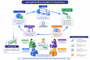 چرخه انقضا و آزاد شدن دامنه‌های منقضی شده برای ثبت مجدد